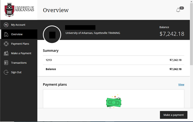 A screen showing the amount owed and options for payment. 